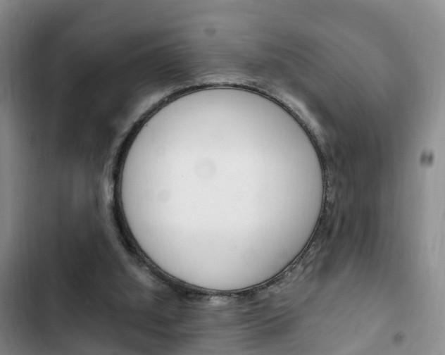 X0000102760060200808180941