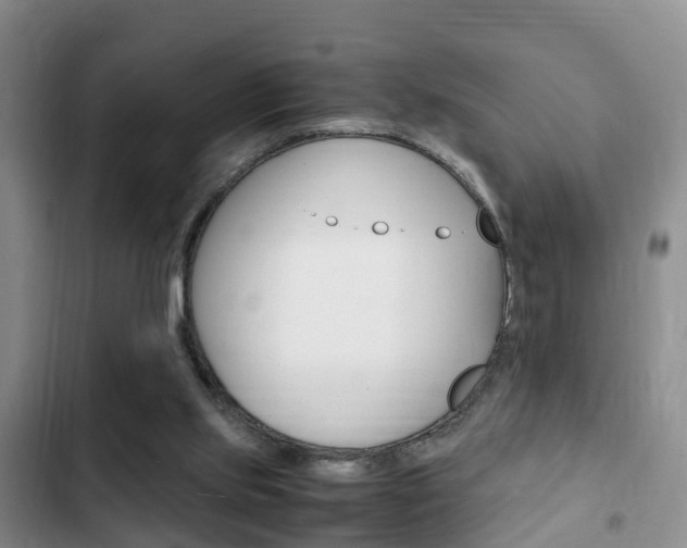 X0000102760061200808180941