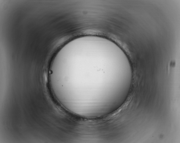 X0000102760062200808180941
