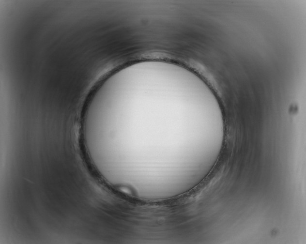 X0000102760063200808180941