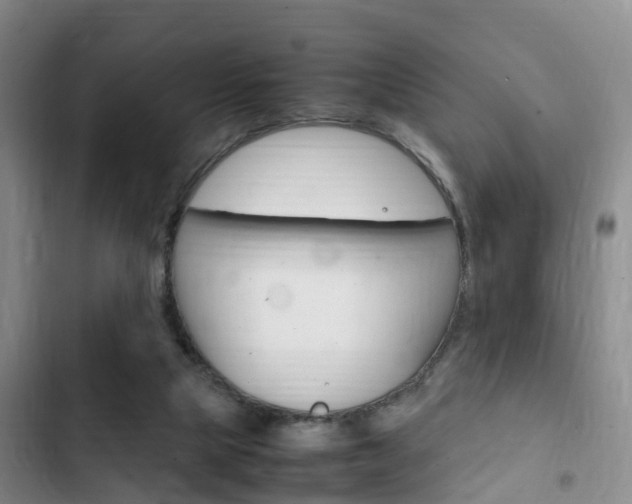 X0000102760065200808180941