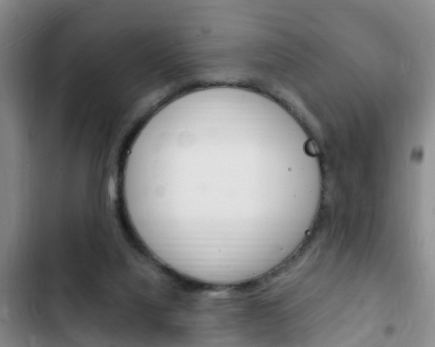 X0000102760068200808180941