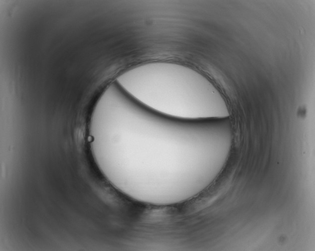 X0000102760072200808180941