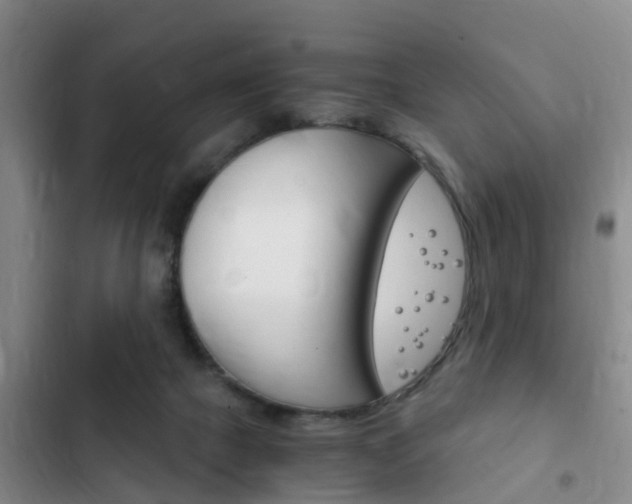 X0000102760073200808180941