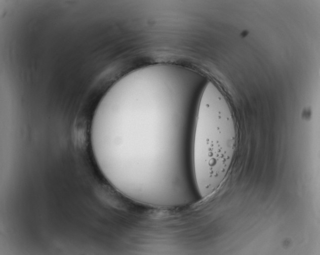 X0000102760074200808180941