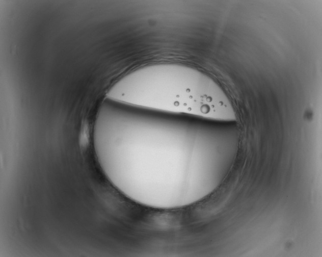X0000102760075200808180941