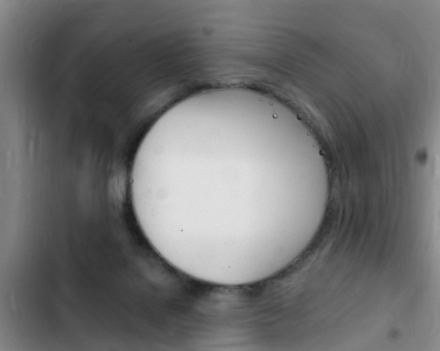 X0000102760076200808180941