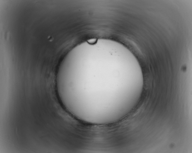 X0000102760077200808180941
