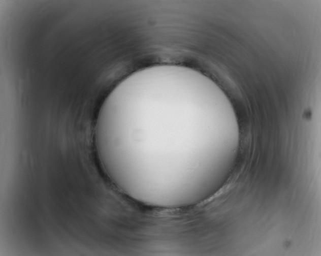 X0000102760078200808180941