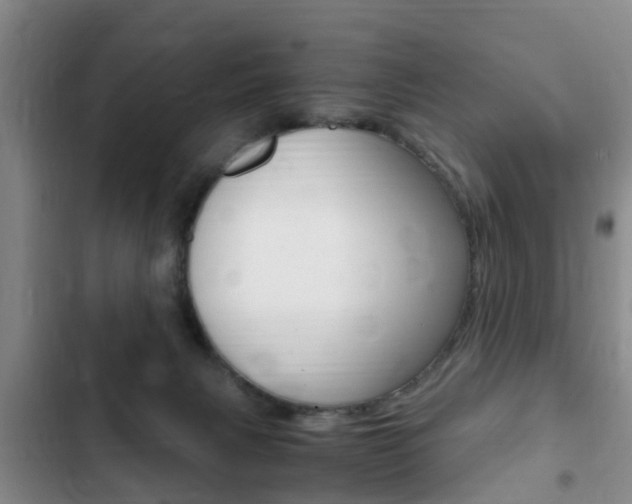 X0000102760079200808180941