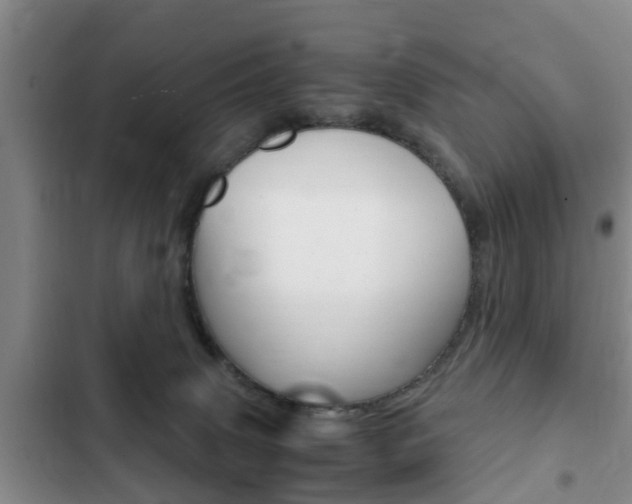 X0000102760083200808180941