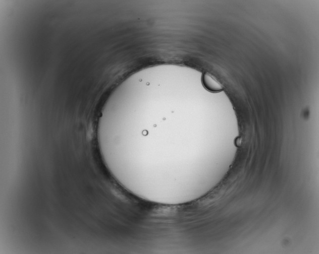 X0000102760084200808180941