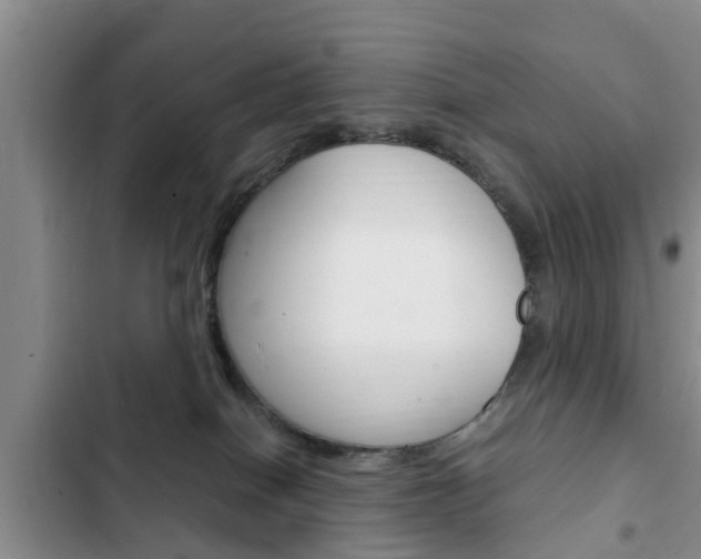 X0000102760086200808180941