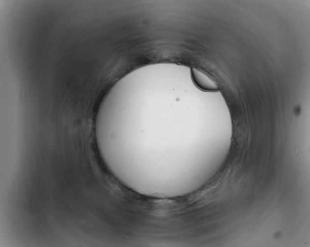 X0000102760087200808180941