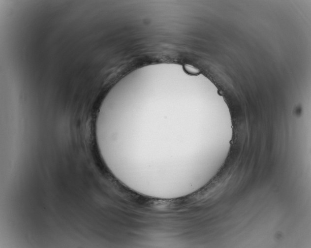 X0000102760088200808180941