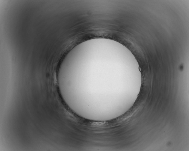 X0000102760089200808180941