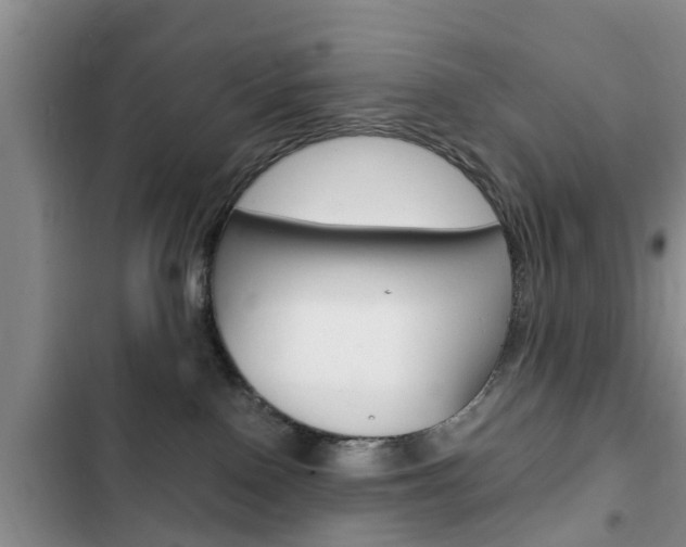 X0000102760090200808180941
