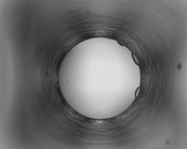 X0000102760091200808180941