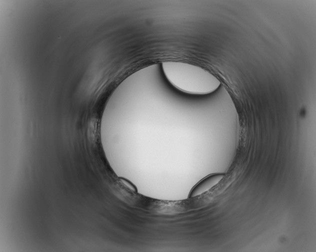 X0000102760093200808180941