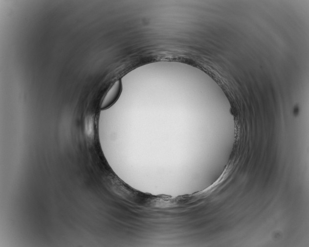 X0000102760094200808180941