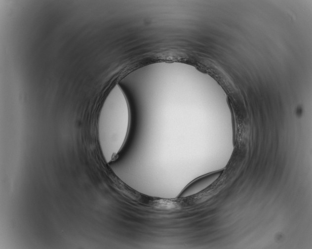 X0000102760095200808180941