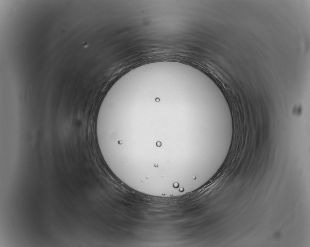 X0000102760096200808180941