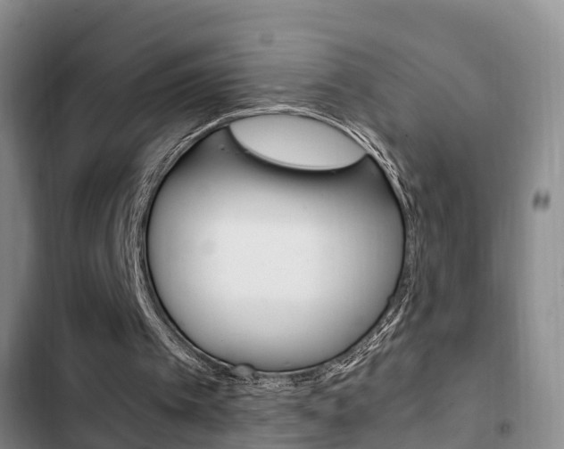 X0000102760097200808180941