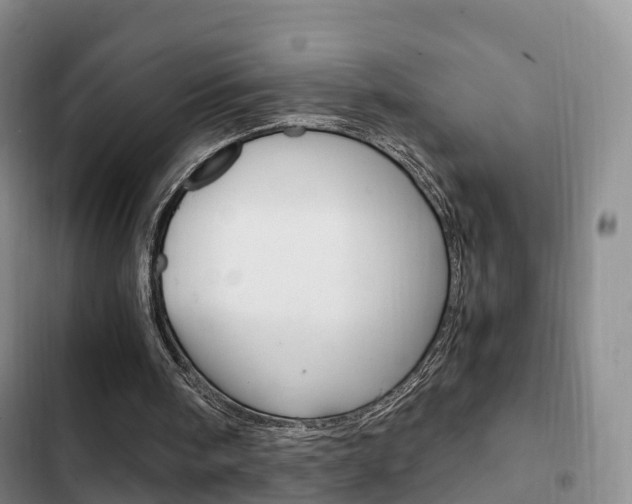 X0000102760098200808180941