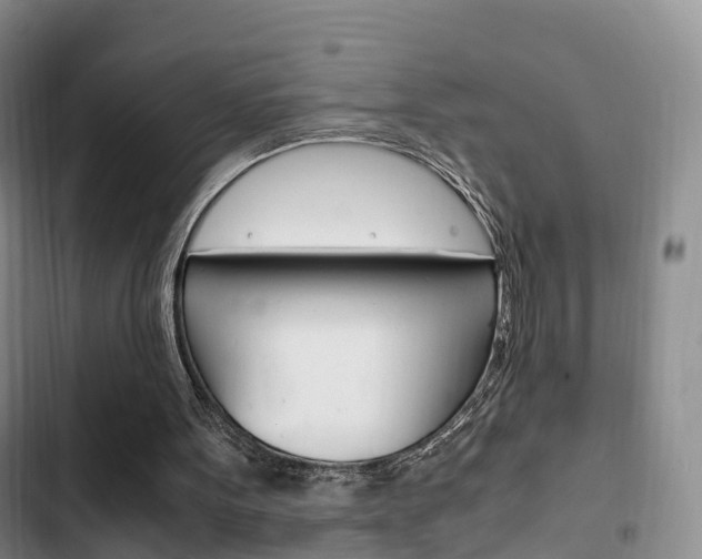 X0000102760099200808180941