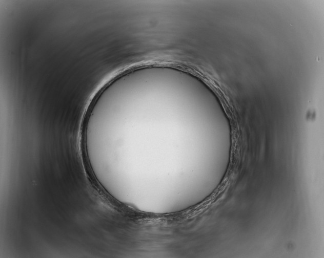 X0000102760100200808180941