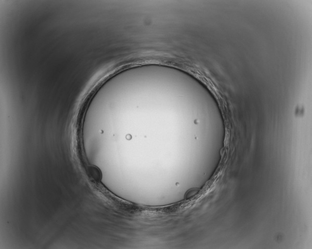 X0000102760101200808180941