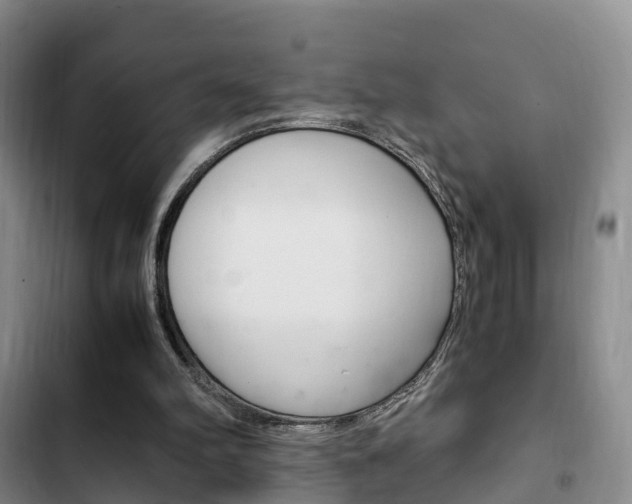 X0000102760102200808180941