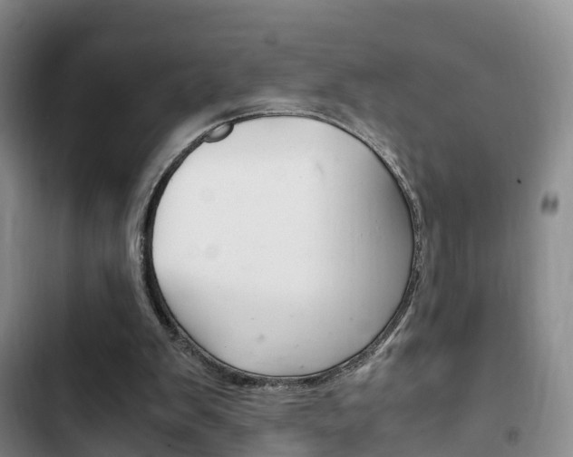 X0000102760103200808180941