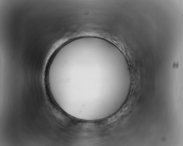 X0000102760104200808180941