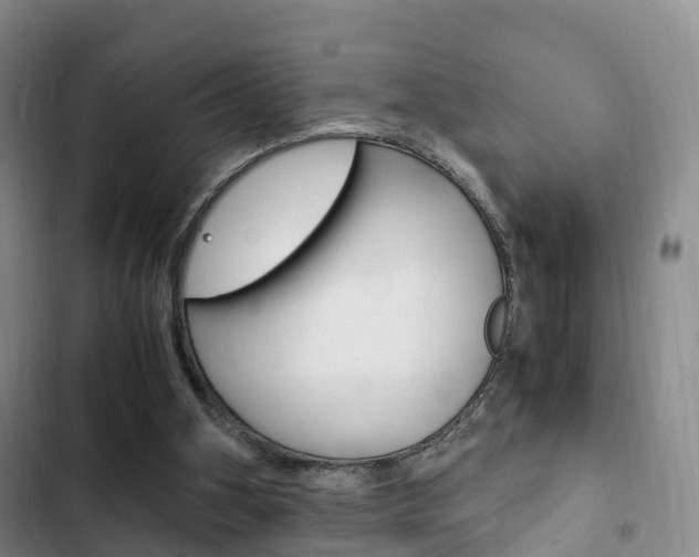 X0000102760106200808180941