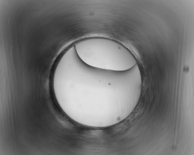 X0000102760108200808180940