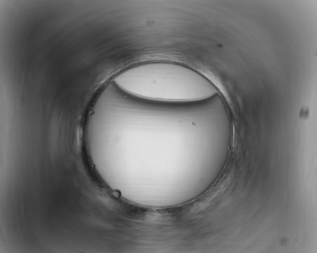 X0000102760109200808180940