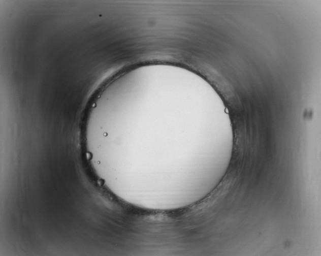 X0000102760112200808180940