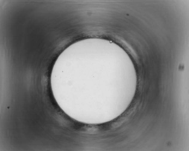 X0000102760113200808180940