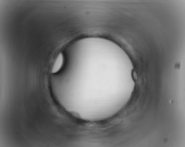 X0000102760115200808180940