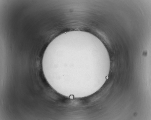 X0000102760121200808180940