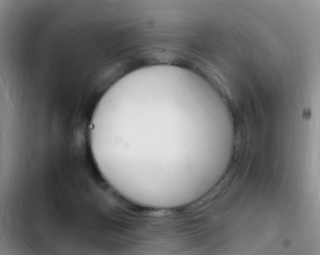 X0000102760122200808180940