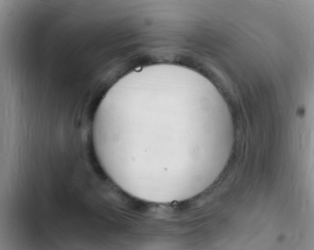 X0000102760125200808180940