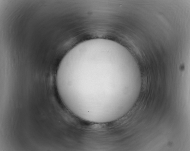 X0000102760126200808180940