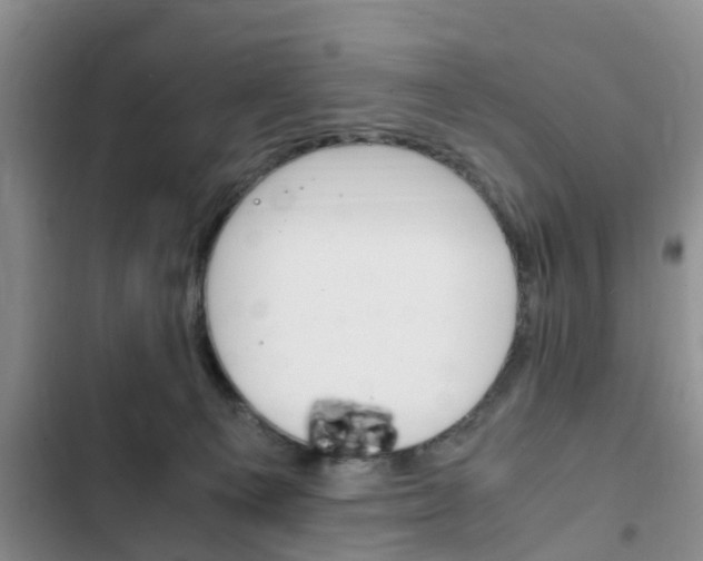 X0000102760129200808180940