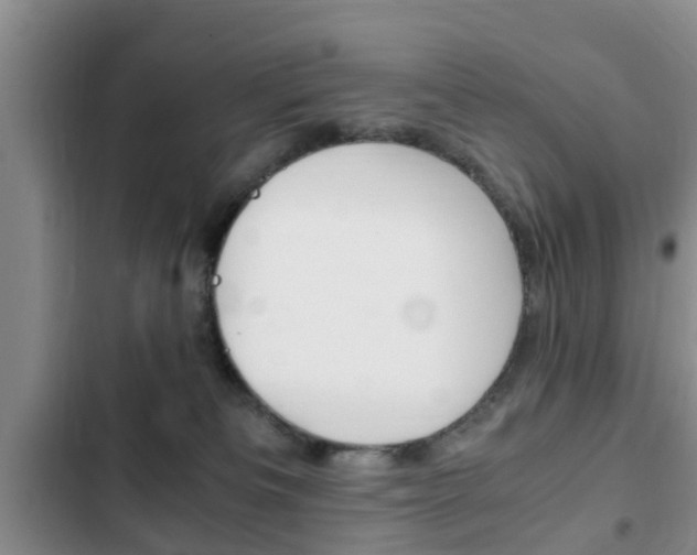 X0000102760133200808180940
