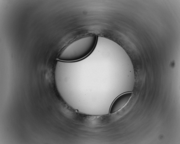 X0000102760136200808180940