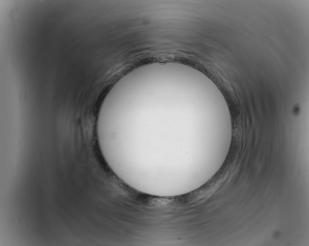 X0000102760139200808180940