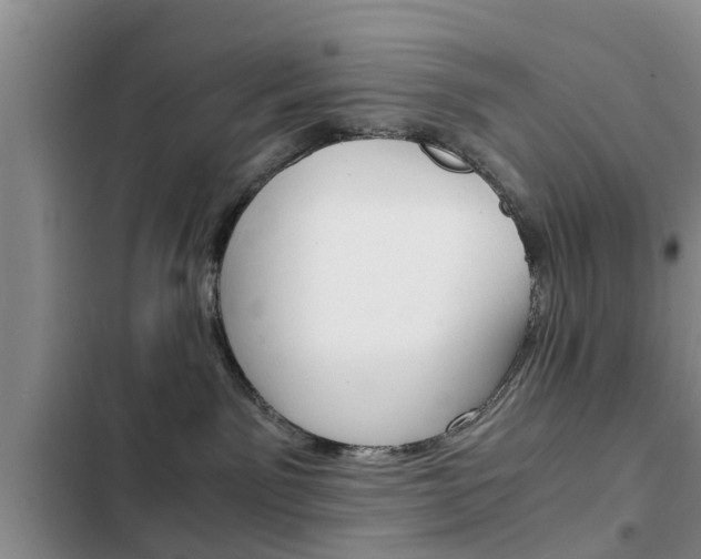 X0000102760141200808180940
