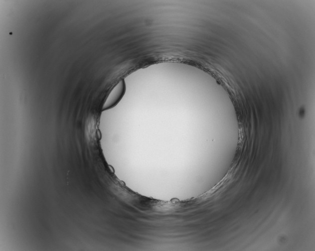 X0000102760142200808180940